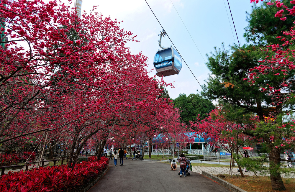 หมู่บ้านฟอร์โมซาน อะบอริจิน ที่เที่ยวไต้หวัน