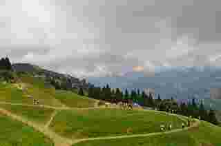 Qingjing Farm ที่เที่ยวไต้หวัน